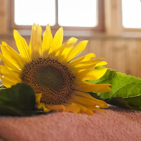 Santner - Oerglwirt's Ferienwelt