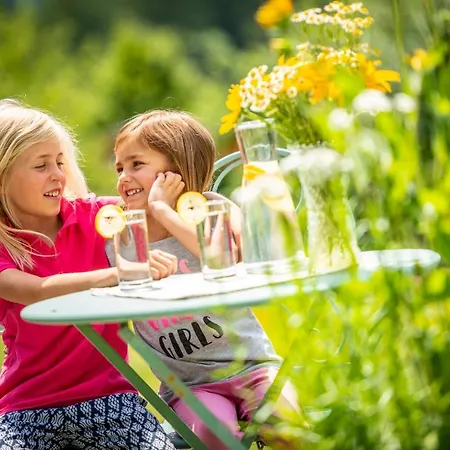 Santner - Oerglwirt's Ferienwelt Daire Mariapfarr