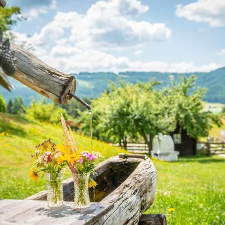 Santner - Oerglwirt's Ferienwelt